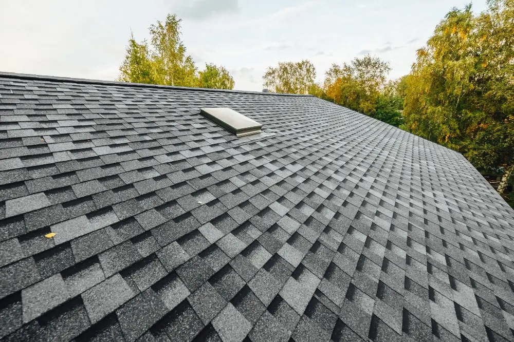 New roof on a house with shingles, roof-tiles, and ventilation window - Dagmar Construction