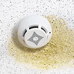 closeup of stained ceiling with smoke detector