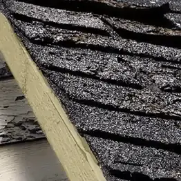 closeup of roofing shingles with sheathing decay